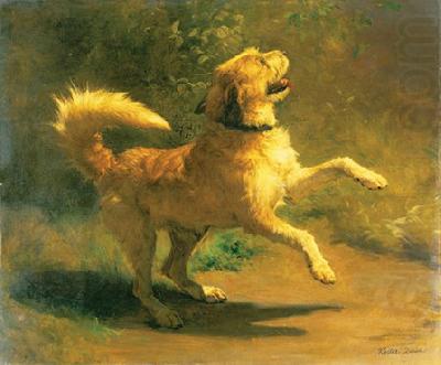 Rudolf Koller Springender Hund oil painting picture